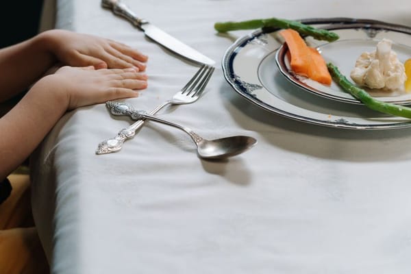 Our Picky Eater at the Dinner Table: What Finally Moved the Needle